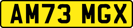 AM73MGX