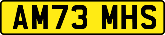 AM73MHS