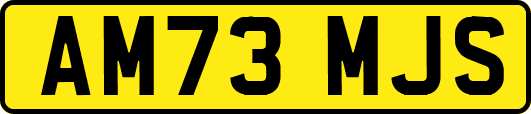 AM73MJS