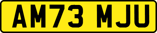 AM73MJU