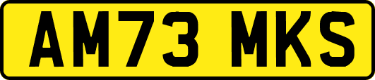 AM73MKS