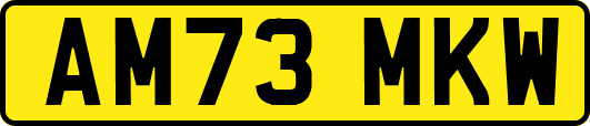 AM73MKW