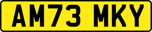 AM73MKY