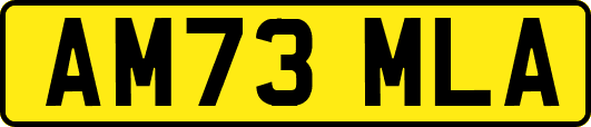AM73MLA