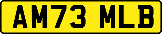 AM73MLB
