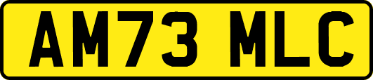 AM73MLC