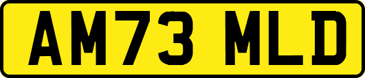 AM73MLD