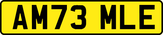 AM73MLE