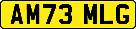AM73MLG