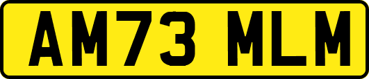 AM73MLM