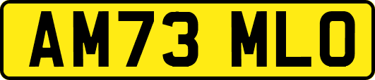 AM73MLO