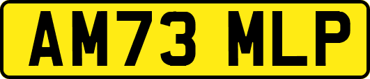 AM73MLP