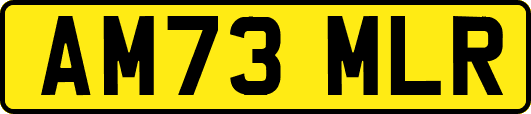 AM73MLR