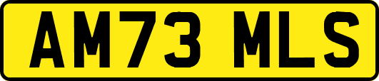 AM73MLS