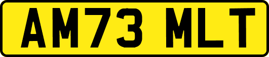 AM73MLT