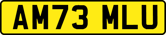 AM73MLU