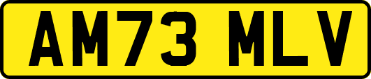 AM73MLV