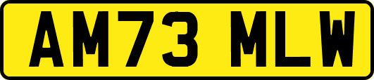 AM73MLW