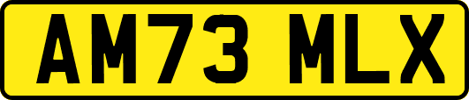 AM73MLX