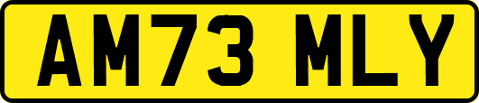 AM73MLY