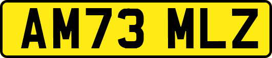 AM73MLZ