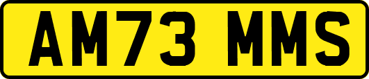 AM73MMS
