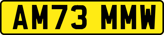 AM73MMW