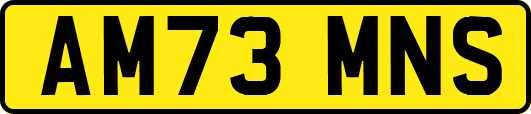 AM73MNS