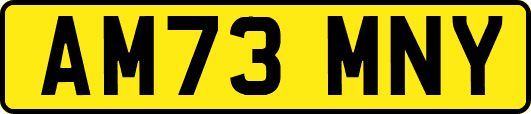 AM73MNY