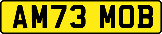 AM73MOB