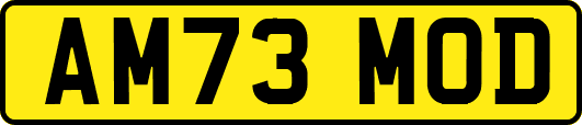 AM73MOD