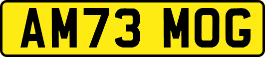 AM73MOG