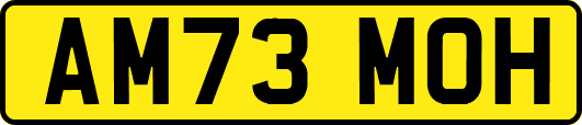 AM73MOH