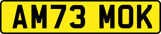 AM73MOK