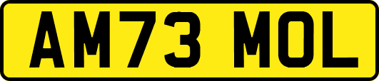 AM73MOL
