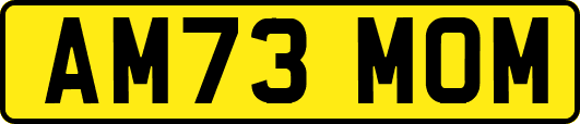 AM73MOM