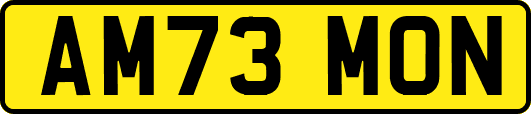 AM73MON