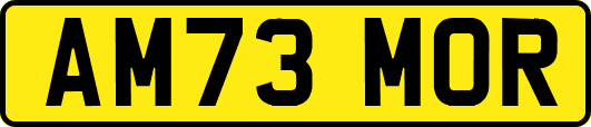 AM73MOR