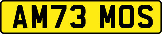 AM73MOS