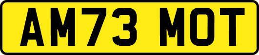 AM73MOT