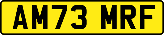 AM73MRF
