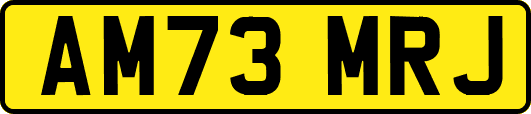 AM73MRJ
