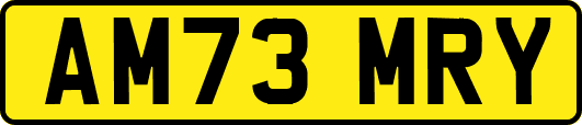 AM73MRY