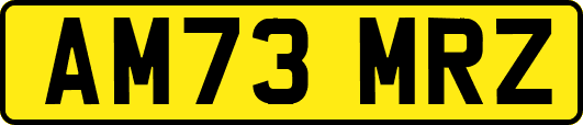 AM73MRZ