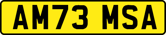 AM73MSA