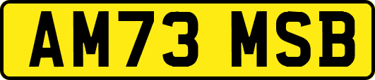 AM73MSB