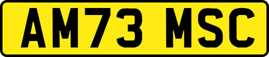 AM73MSC