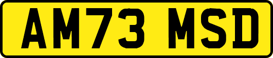 AM73MSD