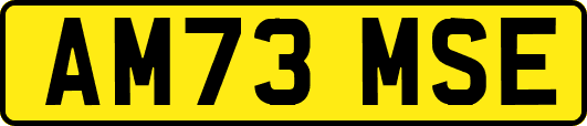 AM73MSE