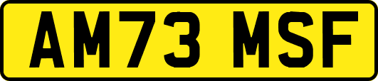 AM73MSF